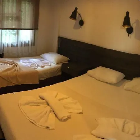 Derin Luxury 2*